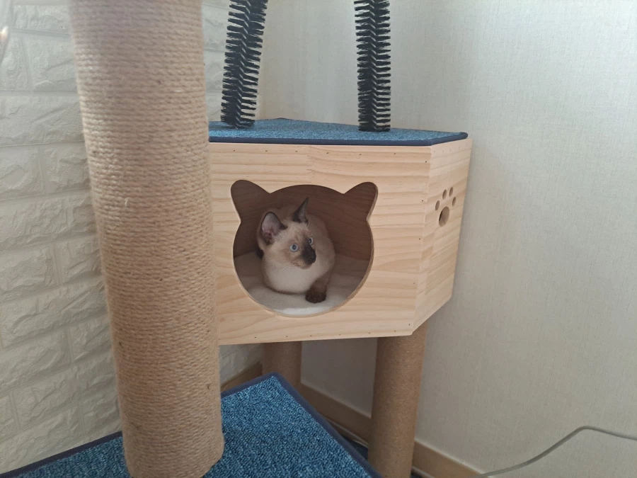 다들 이런 것 좋아하지? 솔직한 사람들을 위해서 특별히!!!_10.webp