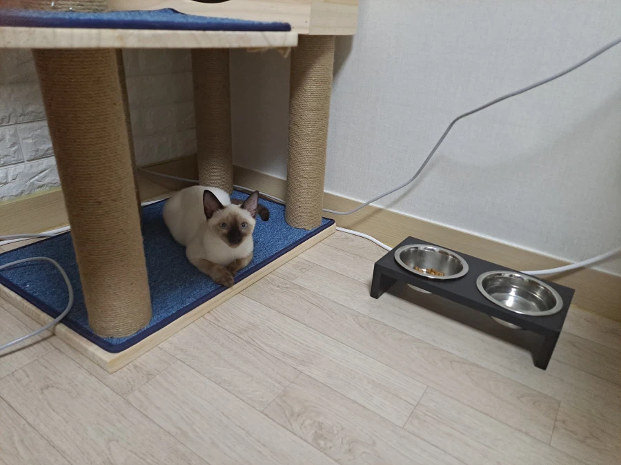 다들 이런 것 좋아하지? 솔직한 사람들을 위해서 특별히!!!_9.webp