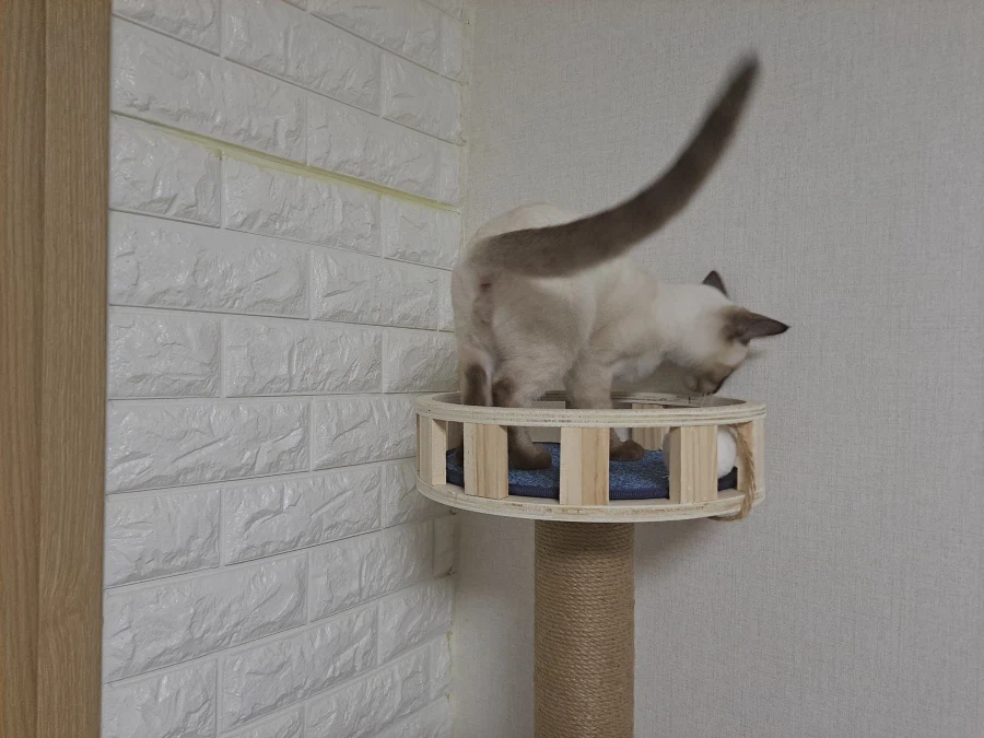 다들 이런 것 좋아하지? 솔직한 사람들을 위해서 특별히!!!_5.webp