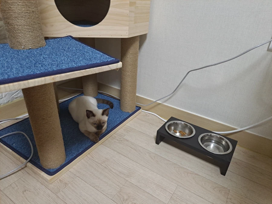 다들 이런 것 좋아하지? 솔직한 사람들을 위해서 특별히!!!_8.webp