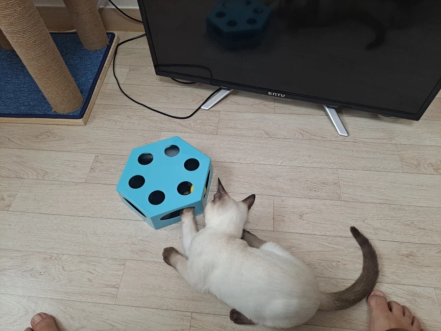 다들 이런 것 좋아하지? 솔직한 사람들을 위해서 특별히!!!_13.webp