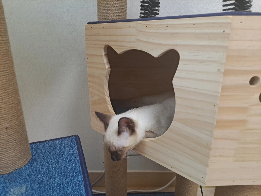 다들 이런 것 좋아하지? 솔직한 사람들을 위해서 특별히!!!_14.webp