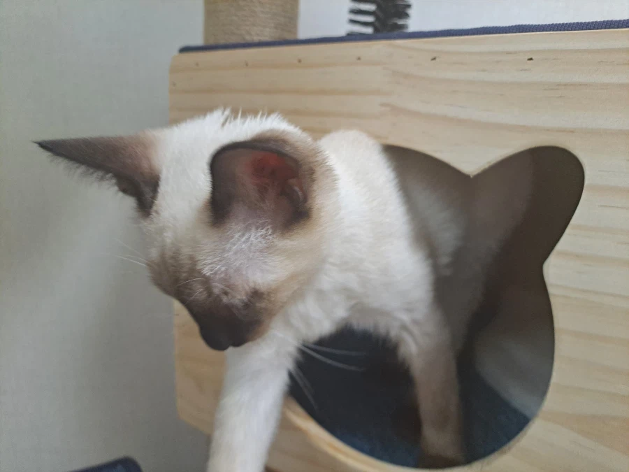 다들 이런 것 좋아하지? 솔직한 사람들을 위해서 특별히!!!_15.webp