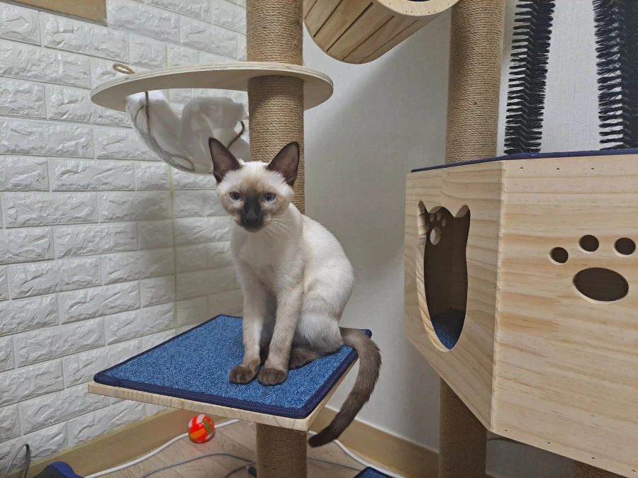 다들 이런 것 좋아하지? 솔직한 사람들을 위해서 특별히!!!_16.webp