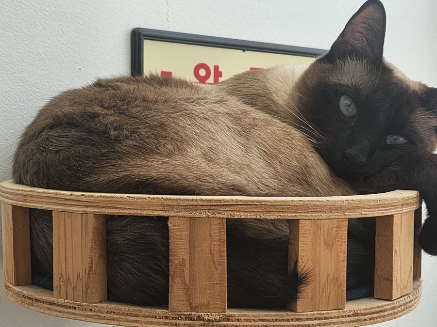 다들 이런 것 좋아하지? 솔직한 사람들을 위해서 특별히!!!_27.webp