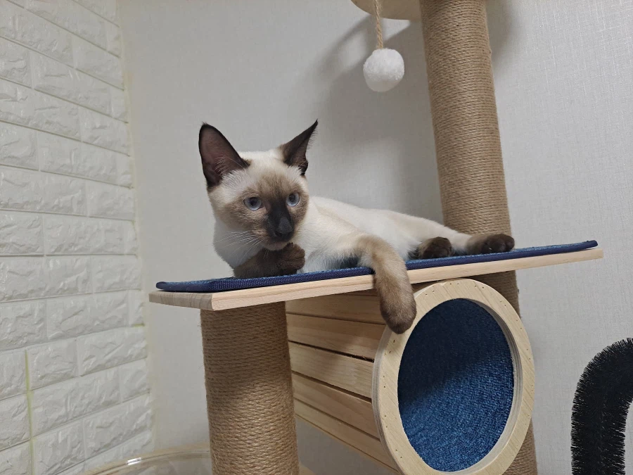 다들 이런 것 좋아하지? 솔직한 사람들을 위해서 특별히!!!_17.webp