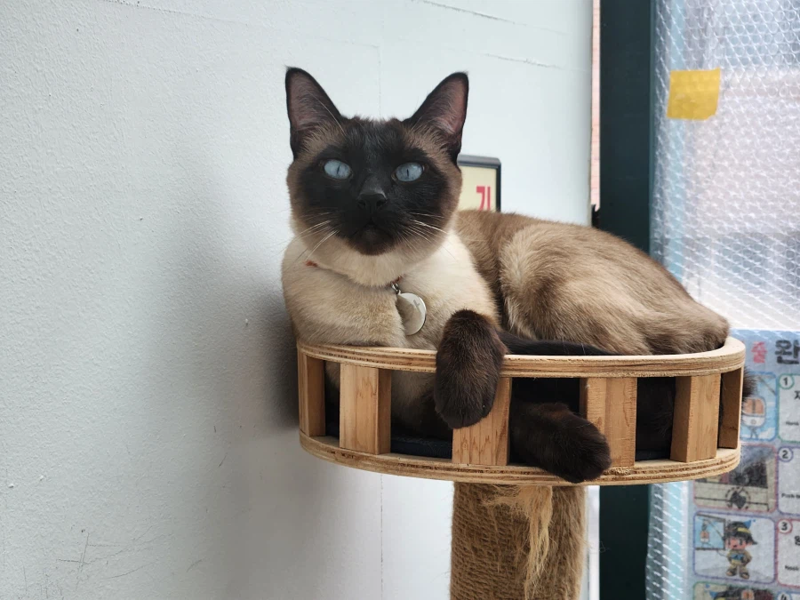 다들 이런 것 좋아하지? 솔직한 사람들을 위해서 특별히!!!_29.webp