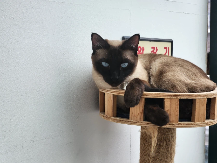 다들 이런 것 좋아하지? 솔직한 사람들을 위해서 특별히!!!_30.webp