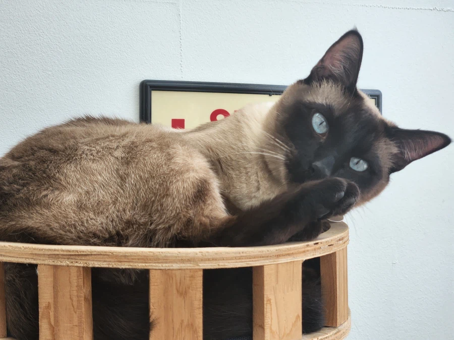 다들 이런 것 좋아하지? 솔직한 사람들을 위해서 특별히!!!_28.webp