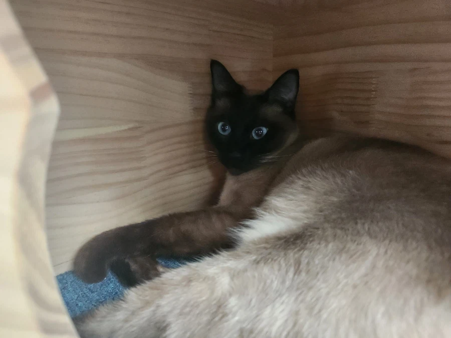 다들 이런 것 좋아하지? 솔직한 사람들을 위해서 특별히!!!_31.webp