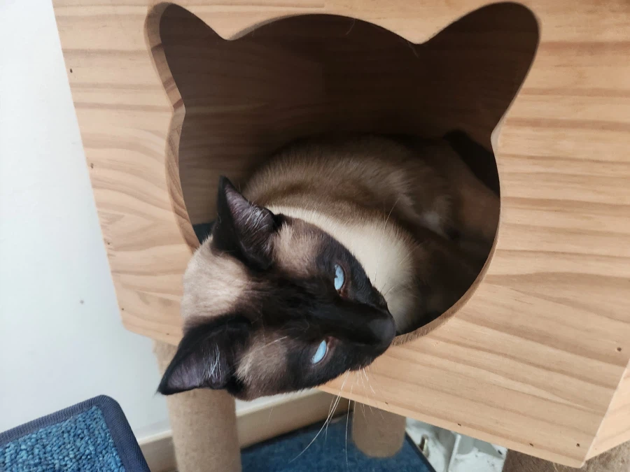 다들 이런 것 좋아하지? 솔직한 사람들을 위해서 특별히!!!_33.webp