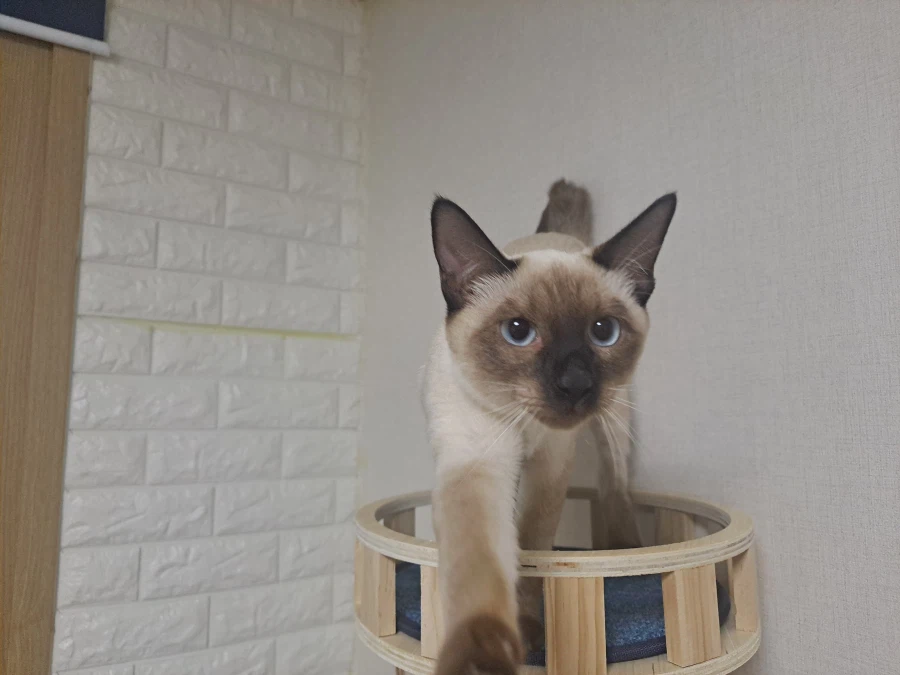 다들 이런 것 좋아하지? 솔직한 사람들을 위해서 특별히!!!_20.webp