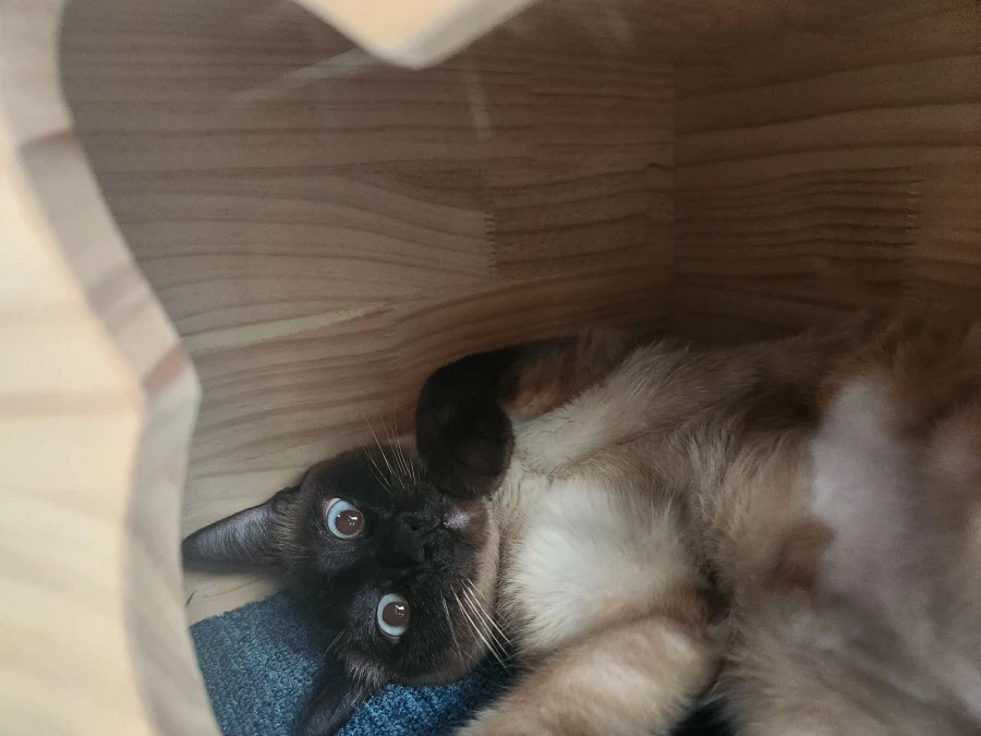 다들 이런 것 좋아하지? 솔직한 사람들을 위해서 특별히!!!_32.webp