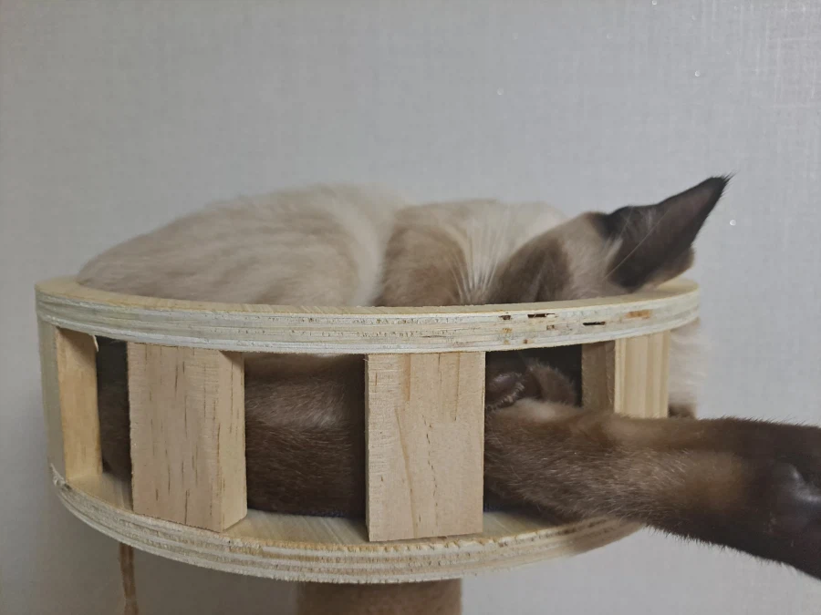 다들 이런 것 좋아하지? 솔직한 사람들을 위해서 특별히!!!_24.webp