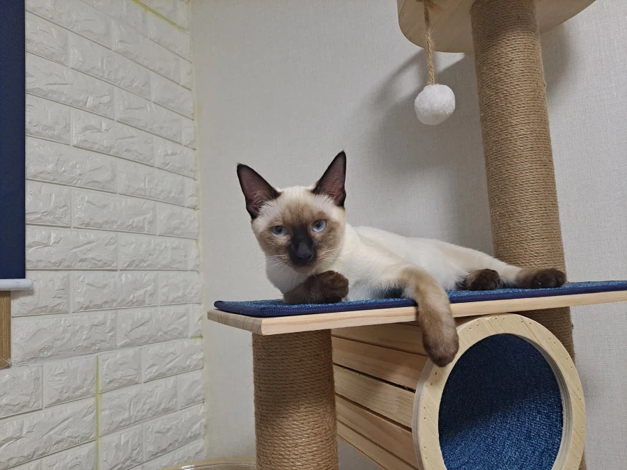 다들 이런 것 좋아하지? 솔직한 사람들을 위해서 특별히!!!_18.webp