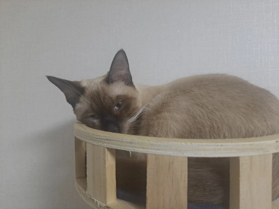 다들 이런 것 좋아하지? 솔직한 사람들을 위해서 특별히!!!_26.webp