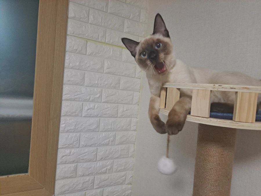 다들 이런 것 좋아하지? 솔직한 사람들을 위해서 특별히!!!_21.webp