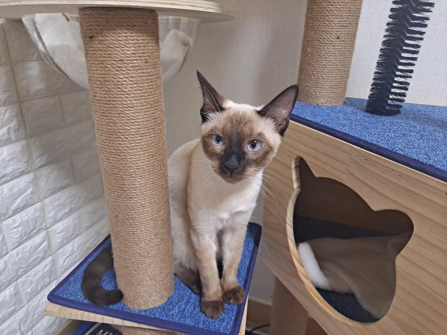 다들 이런 것 좋아하지? 솔직한 사람들을 위해서 특별히!!!_23.webp