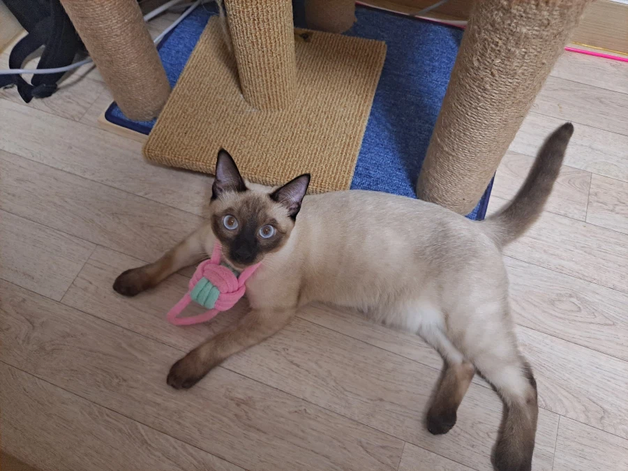 다들 이런 것 좋아하지? 솔직한 사람들을 위해서 특별히!!!_25.webp