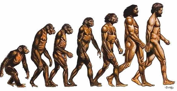 사실 인류는 근친이 근본이다_1.webp