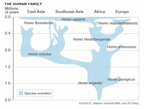 사실 인류는 근친이 근본이다_2.webp