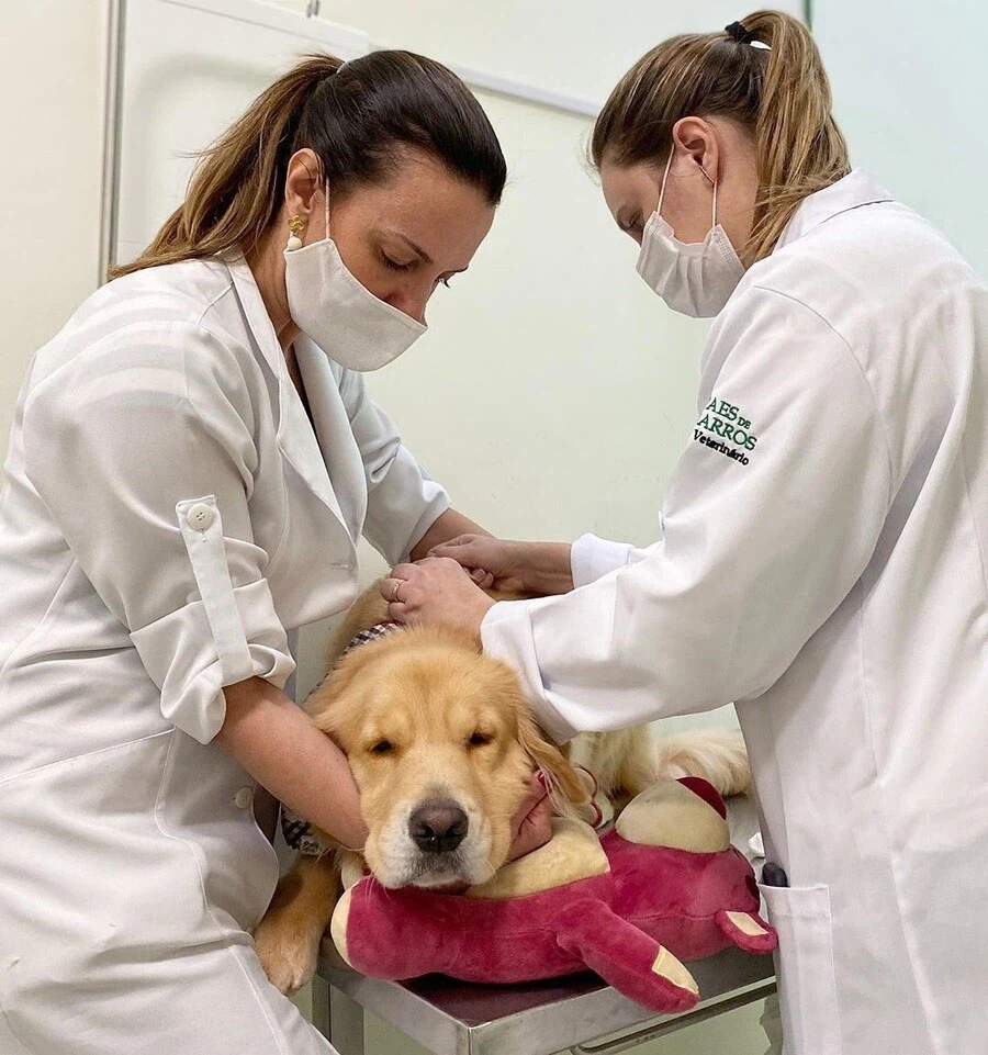 인형이 있어야 얌전한 골댕이.jpg_4.webp