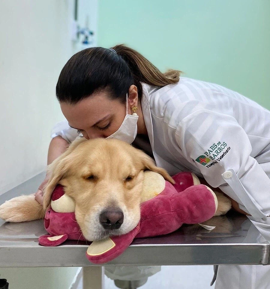 인형이 있어야 얌전한 골댕이.jpg_5.webp