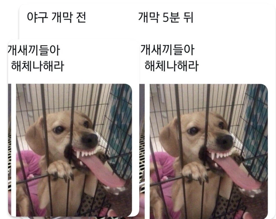 KBO) 하도 담합이 횡횡하니_1.webp