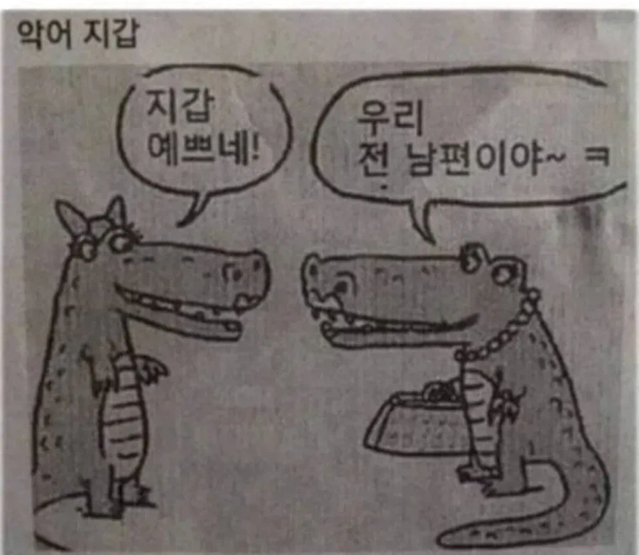 악어 지갑_1.webp