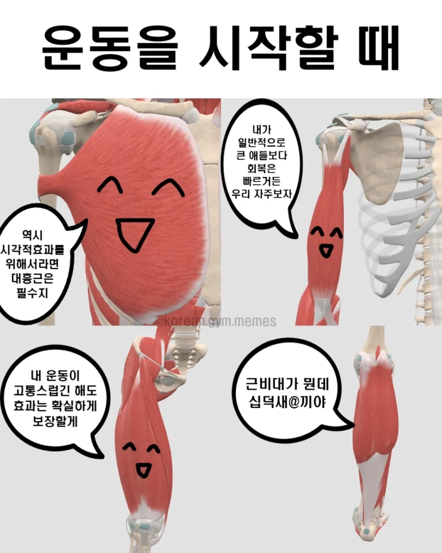 운동할때 근육 특...jpg_1.webp