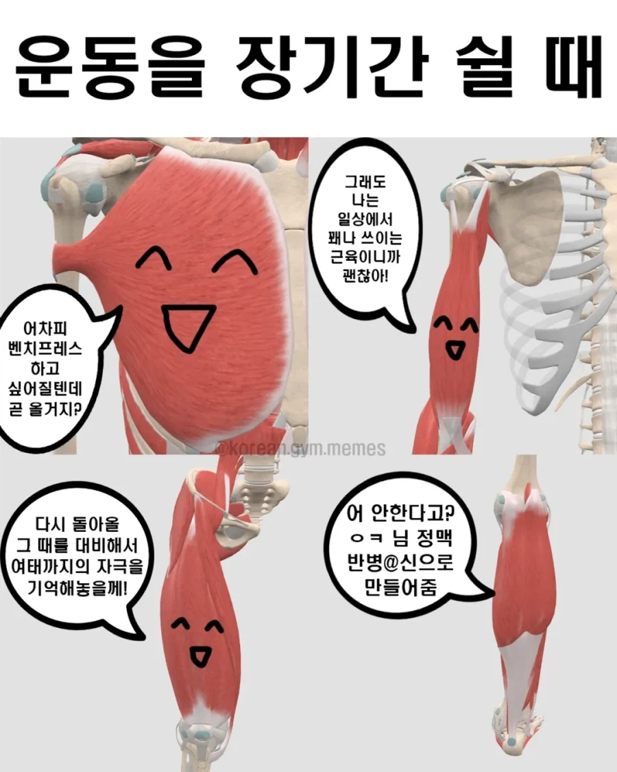 운동할때 근육 특...jpg_2.webp