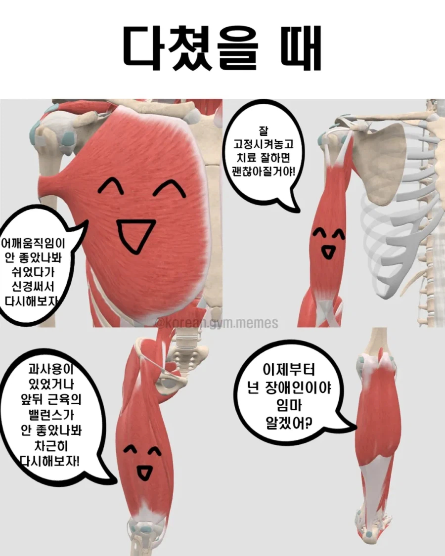운동할때 근육 특...jpg_3.webp
