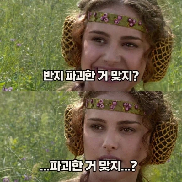 ???: 반지 파괴한 거 맞지?_2.webp