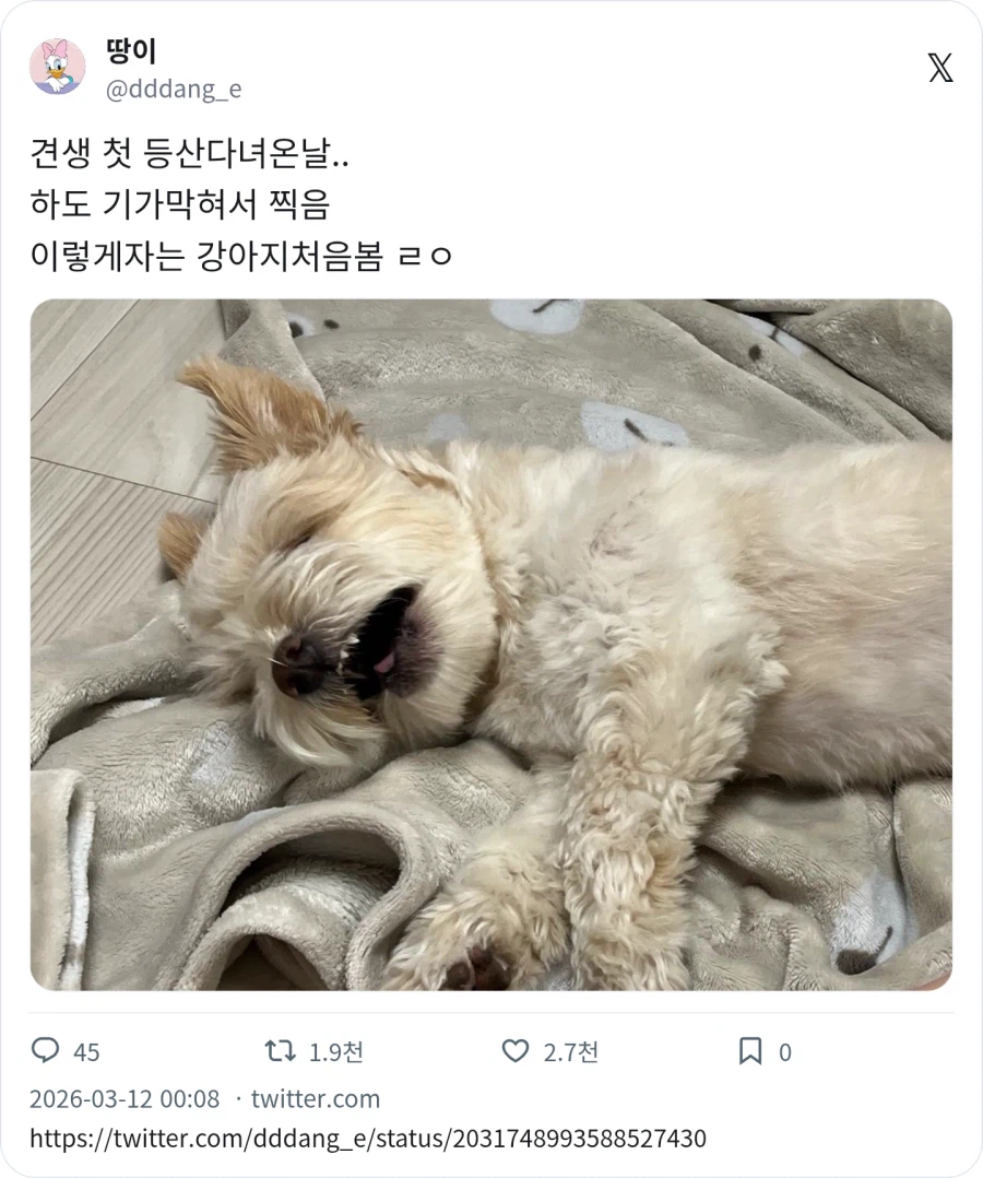 견생 첫 등산_1.webp