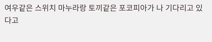 포코피아가 인생인 이유_2.webp