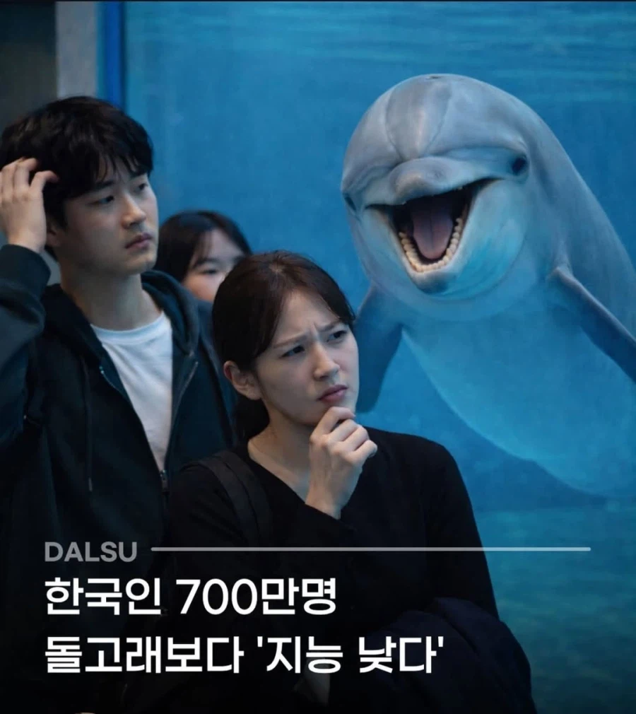 돌고래와 관련된 충격적인 사실.jpg_1.webp