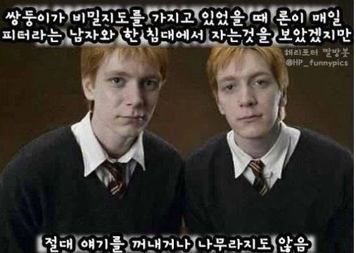해리포터]동생의 취향을 존중하는 위즐리 형제_1.webp