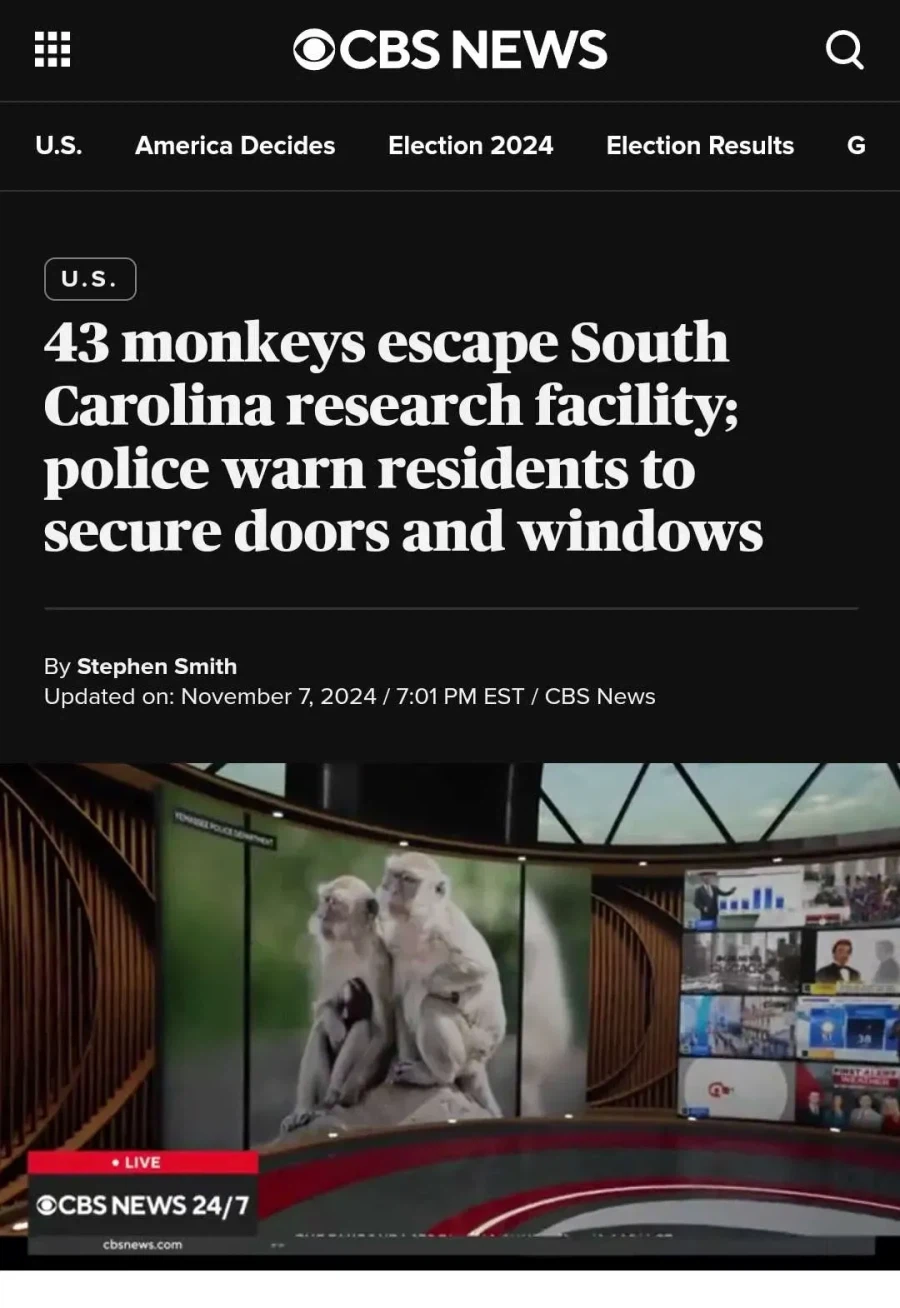 미국 연구실에서 원숭이 43마리 탈출_1.webp