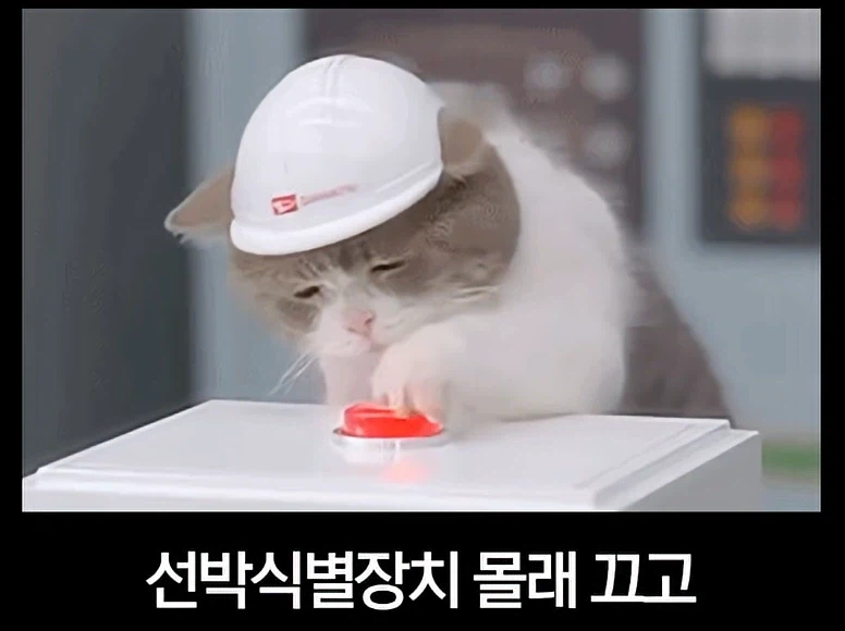 호르무즈 사태로 보는 한중일 국민성_10.webp