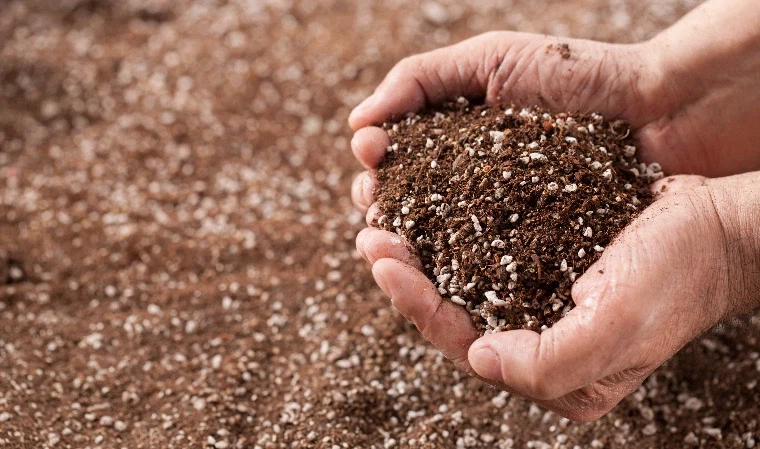 소소하지만 나루토에서 살짝 어색한 부분_5.webp