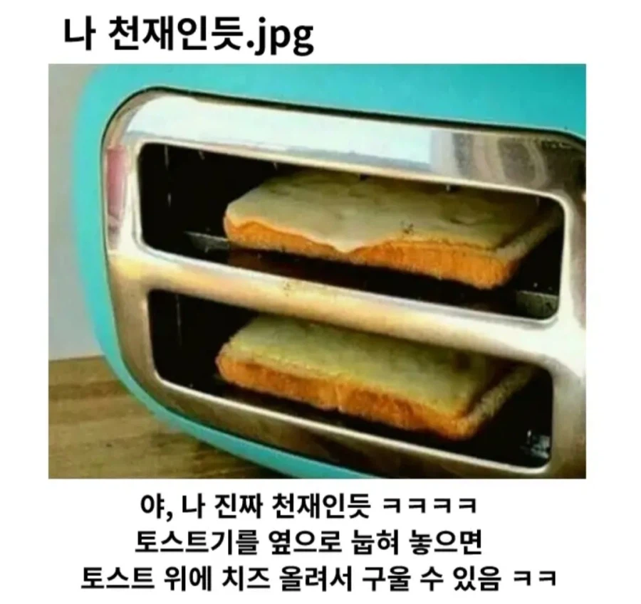 어느 한 천재의 토스트기 응용법_1.webp