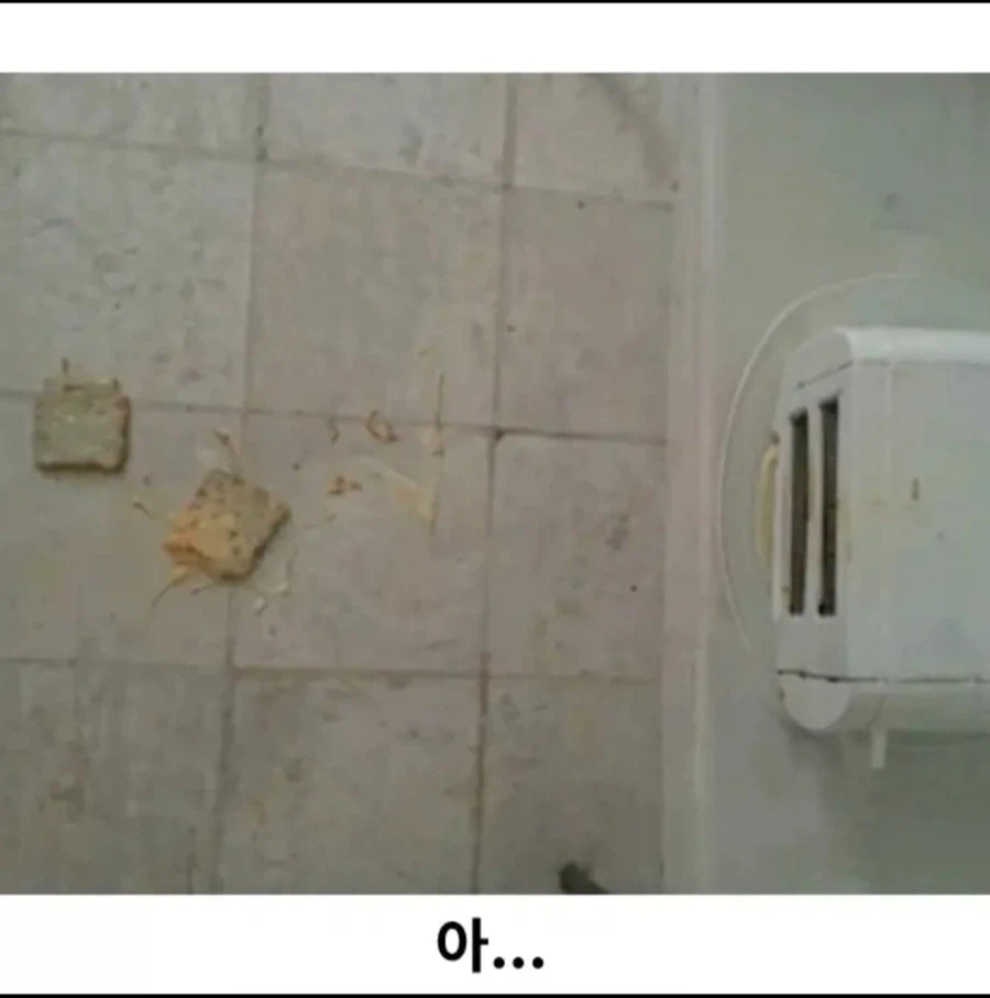 어느 한 천재의 토스트기 응용법_2.webp