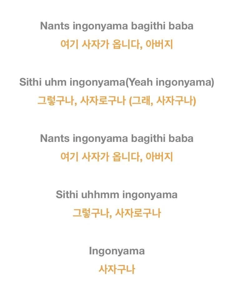 나주평야 발발이 치와와 노래 뜻_1.webp