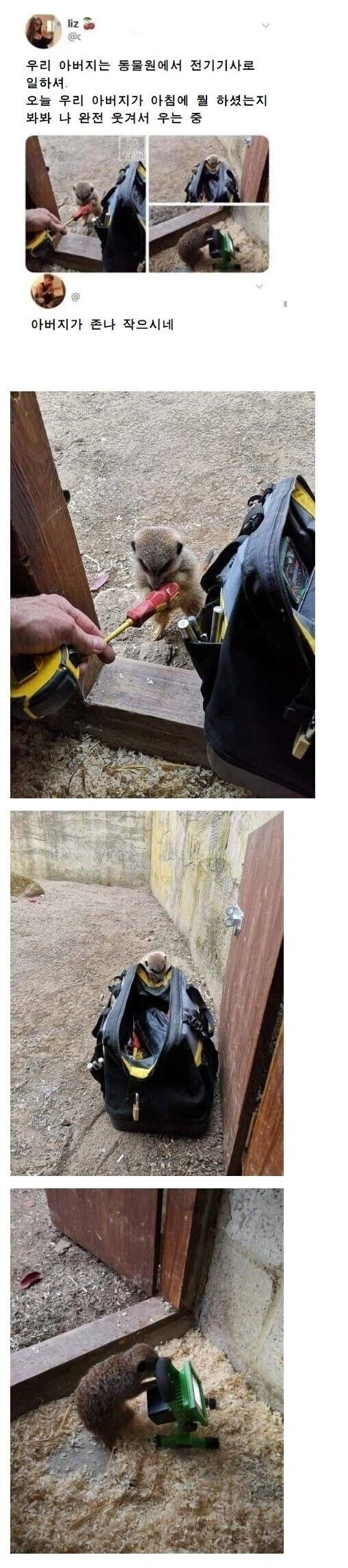 동물원에서 전기기사로 힘들게 일하시는 아버지_1.webp