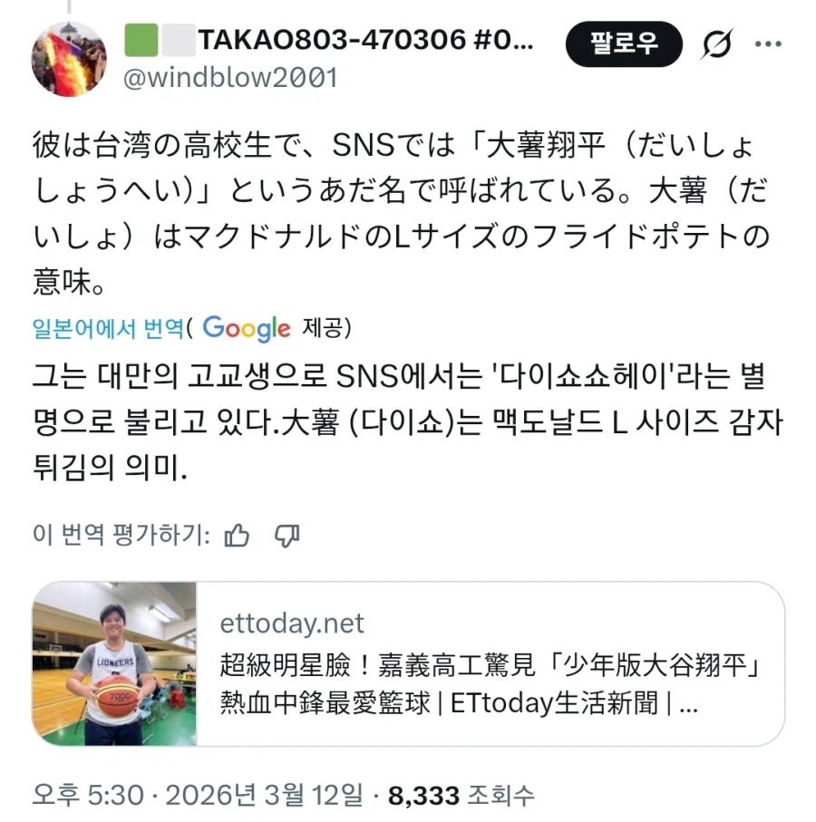 대만산 오타니 쇼헤이_4.webp