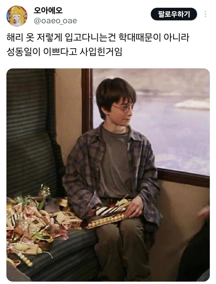 해리포터)사랑 받으고 사랑을 주면서 자랐을 해리포터_5.webp