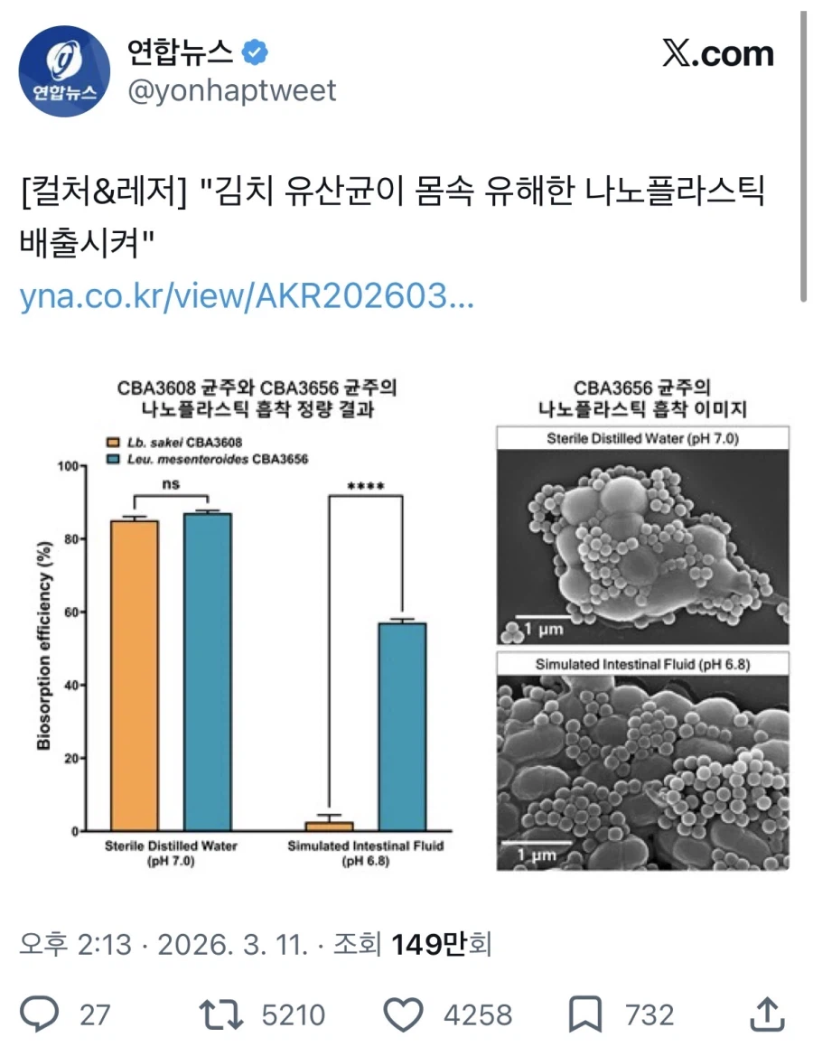 충격! 김치가 나노플라스틱 배출시켜_1.webp