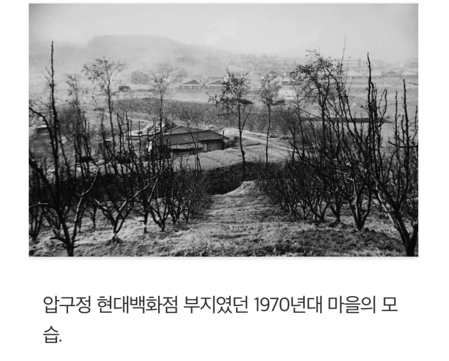 부모님 세대(50년대~60년대 초반) 당시 서울 체감.jpg_22.webp