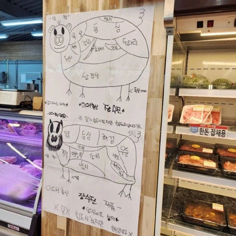 미대 출신 장수진이 그린 한돈돼지 jpg._1.webp