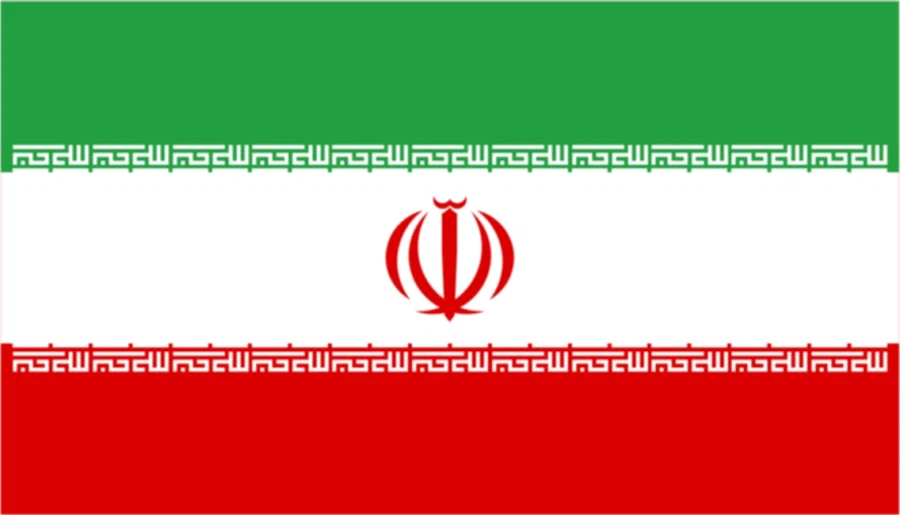 중동 국기에 있는 지렁이 그림들 정체_3.webp